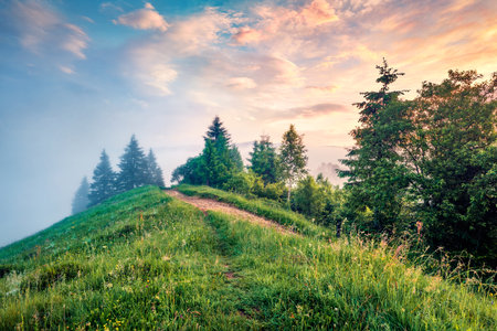 First sunlight glowing mountain valley at June. Unbelievable summer scene of Carpathian mountains, Stebnyi village location, Ukraine, Europe. Beauty of nature concept background.の写真素材