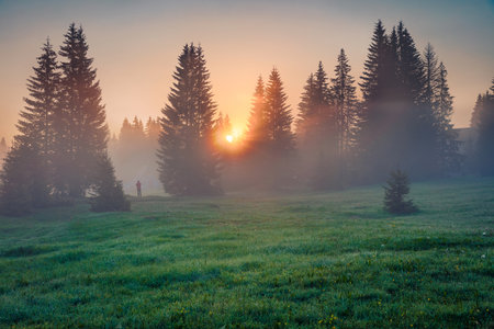 Photographer takes picture of sunrise in Durmitor Nacionalni Park. Foggy morning view of Montenegro countryside, Zabljak town location. Beautiful world of Mediterranean countries.の写真素材