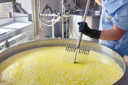 A small family cheese factory in the Carpathian village. The process of heat treatment of milk.の写真素材