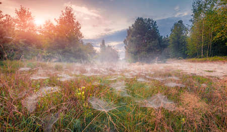 Spectacular summer view of misty valley with a lot of spider webs. Fantastic sunrise on Shatsky National Park, Svityaz lake location, Volyn region, Ukraine. landscape photography.の写真素材
