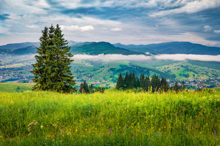 Yasinya village in the morning mist. Picturesque summer scene of mountain valley. Gloomy landscape of green mountain hills, Ukraine, Europe. Beauty of countryside concept background.の素材 [FY310182771101]