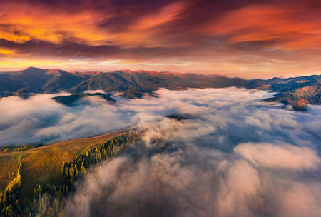 aerial landscape photography. Sea of fog covered mountain valley. Splendid summer view from flying drone of Carpathian mountains, Ukraine, Europe. beautiful summer scenery.の写真素材