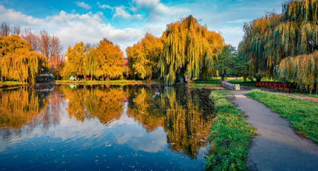 Attractive autumn scene of city park. Charming morning view of orange trees in Ternopil publik square, Ukraine, Europe. Travel concept background.の写真素材
