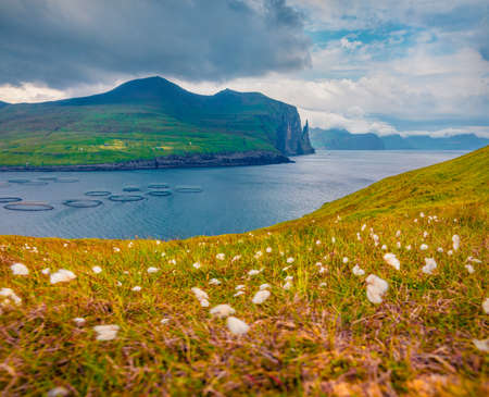 landscape photography. Beautiful summer view of with Trollkonufingur cliffs on Vagar island, Faroe Islands, Kingdom of Denmark, Europe. Gloomy morning view of fish farm on Vagar island.の写真素材