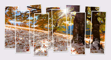 The famous Dutch windmills. Wiev through red tulips on the Netherlands canals. creative collage.の写真素材