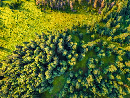 aerial landscape photography. Straight down view of the mountain forest. Colorful morning scene of...