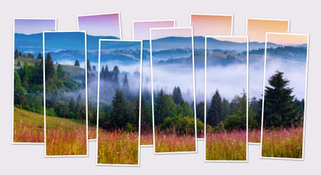 Isolated ten frames collage of picture of foggy summer morning in Carpathian mountains. Incredible sunrise on mountain valley. Mock-up of modular photo.の写真素材