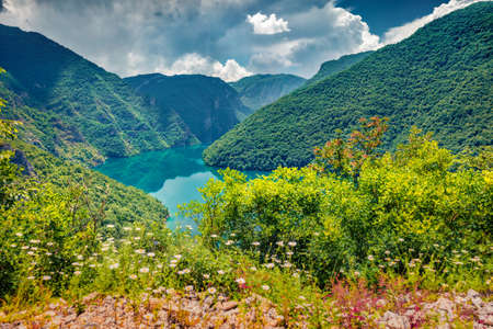 Sunny summer view of Pivsko lake. Colorful morning scene of canyon of Piva river, Pluzine town location, Montenegro, Europe. Beautiful world of Mediterranean countries.の写真素材