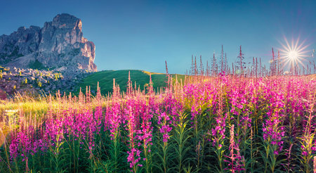 Gorgeous summer view of Ra Gusela peak, Averau - Nuvolau group. Spectacular outdoor scene from the pot of Giau pass. Marvelous summer landscape of Dolomiti Alps, Italy, Europe.の写真素材