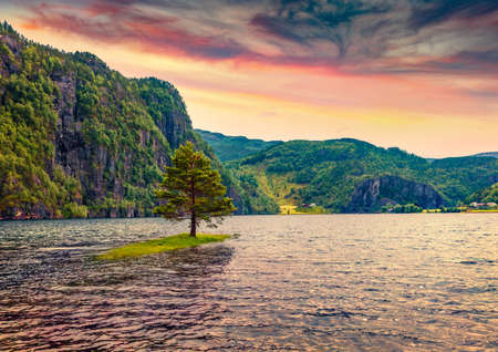 beautiful summer scenery. Lonely tree on the small island on Suldalsvatnet lake. Wonderful morning scene in Norway, Europe. Beauty of nature concept background.の写真素材