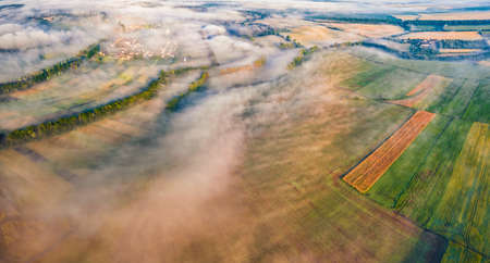 Astonishing summer view from flying drone of Ukrainian countryside with field of wheat. Impressive...