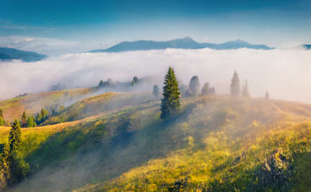 Spectacular morning scene of Stebnyi village. Foggy summer view from flying drone of Carpathian...