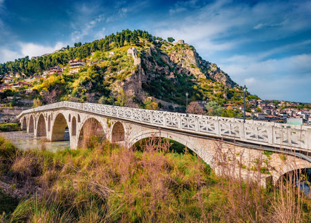 Attractive spring cityscape of Berat town, located on the Osum River. Picturesque morning scene of...