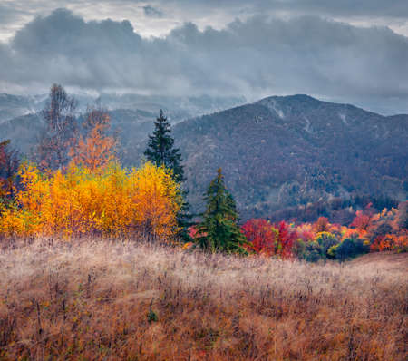Low cloud overcast. Gloomy autumn view of the Carpathian mountains. Captivating morning scene of mountain valley. beauty of nature concept background.の写真素材