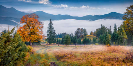 Calm morning view of mountain valley with old country road. Spectacular autumn scene of the Carpathian mountains. Wonderful landscape of the countryside. beautiful autumn scenery.の写真素材