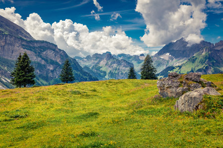 Green meadow in the hmountain valley, Oeschinen Lake location. Astonishing morning scene of Swiss Alps, Kandersteg village, canton of Bern, Switzerland. Beauty of nature concept background.の写真素材