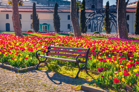 Marvellous red tulip flowers in Gulhane (Rosehouse) park, Istanbul. Astonishing spring scene of Turkey, Europe. Sunny morning view of city park. beauty of nature concept background.の写真素材