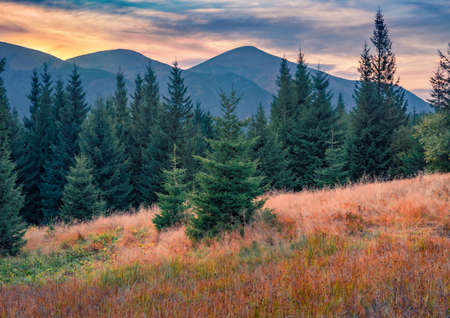 Astonishing morning scene of Carpathian mountains with Hoverla peak on background. Picturesque autumn scene of mountain valley. beauty of nature concept background.の写真素材