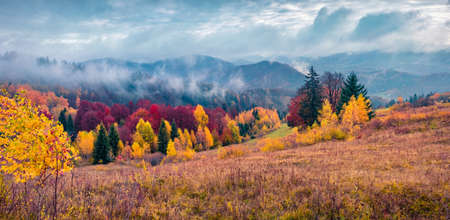 Panoramic autumn view of the Carpathian mountains. Gloomy morning scene of mountain valley. beautiful autumn scenery.の写真素材