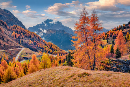 Gorgeous morning view of Dolomite Alps with yellow larch trees and winding road on background. Wonderful autumn scene of mountain valley, Giau pass location, Italy, Europe. Travel concept background.の写真素材