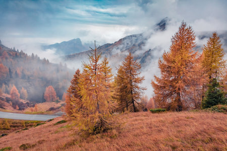 Foggy autumn view of Dolomite Alps with yellow larch trees and asphalt road on background. Colorful morning scene of mountain falley, Giau pass location, Italy, Europe. beautiful autumn scenery.の写真素材