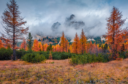 Foggy autumn scene of Cristallo peak. Colorful morning landscape of Dolomite Alps, Cortina d'Ampezzo location, Italy, Europe. Beauty of nature concept background.の写真素材