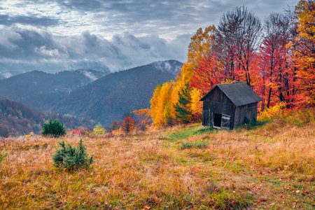 Dramatic autumn view of the mountain forest. Fall in mountain village, Carpathians, Ukraine, Europe. Beauty of nature concept background.の写真素材