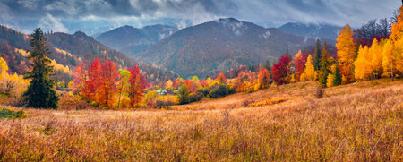 Panoramic morning view of Carpathian mountains with low overcast, Ukraine, Europe. Dramatic autumn scene of mountain valley. Beauty of nature concept background.の写真素材