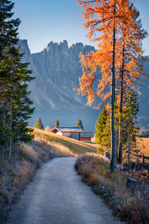 Country road among larch trees on the top of Nigrapass. Splendid autumn scene of Dolomite Alps. PSpectacular morning view of Italian countryside, Italy, Europe. Travel concept background.の写真素材