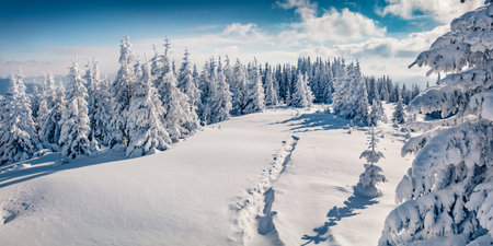 landscape photography. Trekking in winter mountains. Bright morning scene of the Carpathian mountains. Beauty of nature concept background. Panorama of winter woodlands.の写真素材