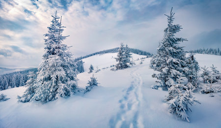landscape photography. Trekking in winter mountains. Wonderful morning scene of the Carpathian mountains. beauty of nature concept background.の写真素材