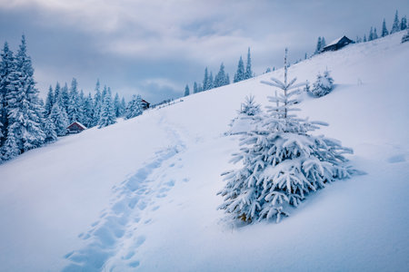 beautiful winter scenery. Captivating evening view of abandoned Carpathian village. Misty outdoor scene of mountain valley. beauty of nature concept background.の写真素材