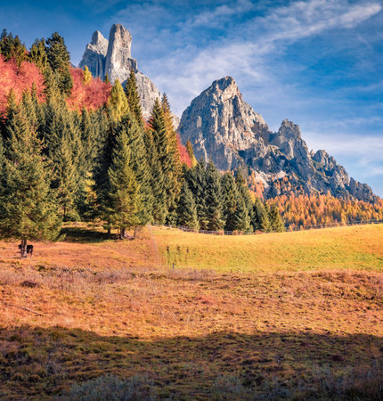 Pasture under the mountain slopes of Cima Della Madonna. Sunny autumn view of the Dolomite Alps.の写真素材