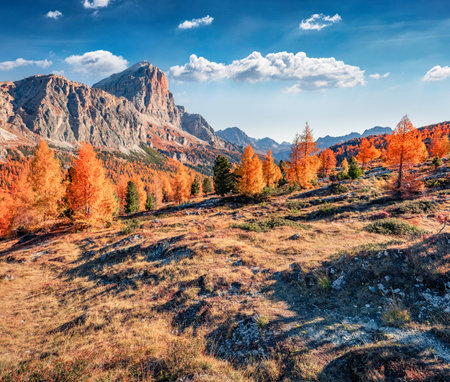 Splendid autumn view from top of Falzarego pass with Tofana peak on background. Attractive morning scene Dolomite Alps, Cortina d'Ampezzo lacattion, Italy, Europe. beauty of nature concept background.の写真素材