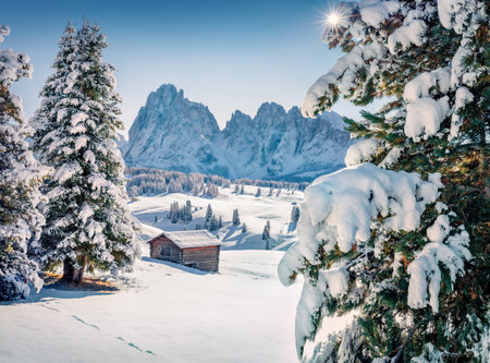 christmas postcard. Fabulous winter view of Alpe di Siusi village with Plattkofel peak on background. Superb morning view of the Dolomite Alps. Wonderful outdoor scene of Ityaly, Europe.の写真素材