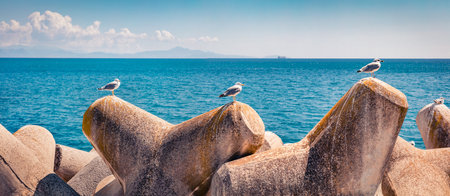 Seagulls on stone breakwaters. Panoramic summer seascape of Mediterranean sea. Bright morning scene of Italy, Europe. Magnificent Mediterranean landscape.の写真素材