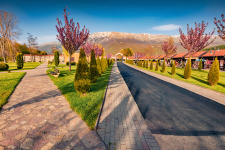 Blooming cherry trees in the garden of St. Naum Monastery on the shore of Ohrid lake. Spectacular spring scene of North Macedonia, Europe. Travel concept background.の写真素材