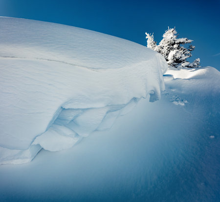 beautiful winter scenery. Fresh morning view of mountain valley. Amazing outdoor scene with fir trees covered of fresh snow. Happy New Year celebration concept.の写真素材