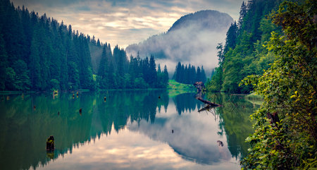 Dramatic morning view of Lacu Rosu lake. Splendid summer scene of Harghita County, Romania, Europe. Beauty of nature concept background.の写真素材