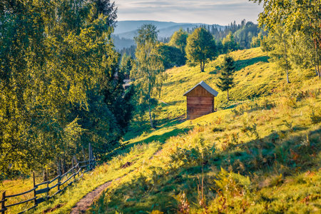 Fresh green view of mountain valley. Splendid summer scene of Carpathian mountains, Snidavka village location, Ukraine, Europe. Beauty of countryside concept background.の写真素材