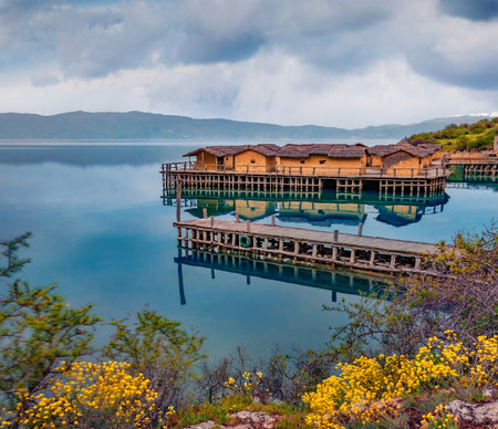 Blooming shore of Ohrid lake. Picturesque morning scene of popular tourist destination - Bay of Bones. Calm landscape of North Macedonia, Europe. Travel concept background.の写真素材