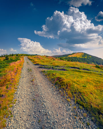 Country road to the top in Vladeasa mountain range, Cluj County, Romania. Picturesque summer scene of Apuseni Mountains at August. Beauty of countryside concept background.の写真素材