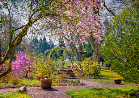 Blossom trees in botanical garden of Essen town. Attractive outdoor scene of Germany, Europe. beauty of nature concept background.の写真素材