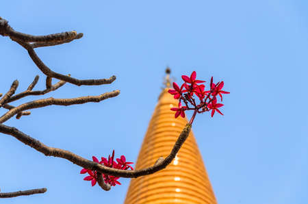 Wat Phra Pathom Chedi, Nakhon Pathom,ThaiLand