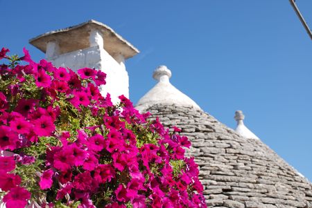 The roof of a trullo in Alberobello (Puglia, southern Italy), with pink flowers in the foreground. The trulli, which are protected under UNESCO World Heritage laws, are traditional limestone houses with domed or conical roofs, and are common in the Alberoの写真素材