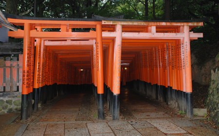 The famous torii tunnel at Fushimi Inari Taisha Temple in Kyoto のeditorial素材