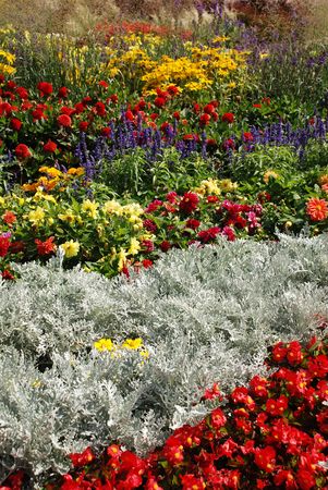 A display of flowers in a public park in Keszthely, Hungary の写真素材