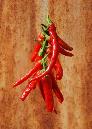 A string of long red hot chilli peppers against a rusted metal background の写真素材