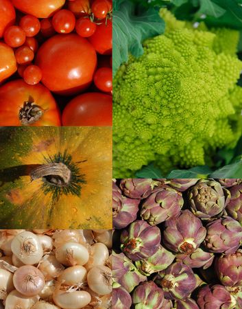 A collage of five different vegetables: romanesco cauliflower, arichokes, pumpkin, button onions, and a variety of tomatoes (including cherry and plum) の写真素材