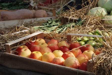 A box of red apples in the foreground of a display of locally grown fruit and vegetables during the 2011 annual Friuli Doc (Udine) celebration of locally produced food, drinks and craftsの写真素材